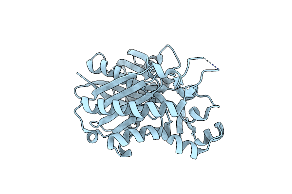 4YLT image