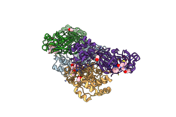 4YLU image