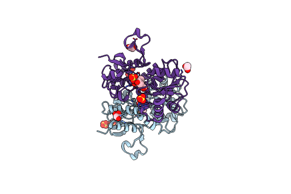 4YMA image