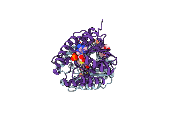 4YMG image