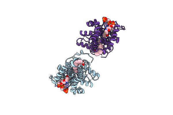 4YMK image