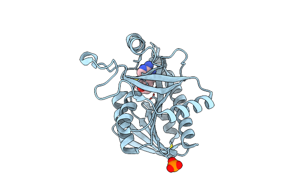 4YML image