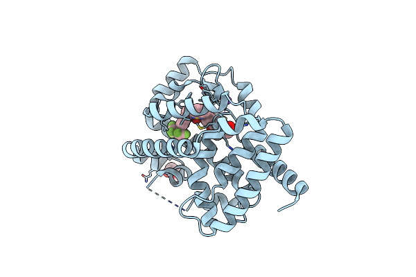 4YMQ image