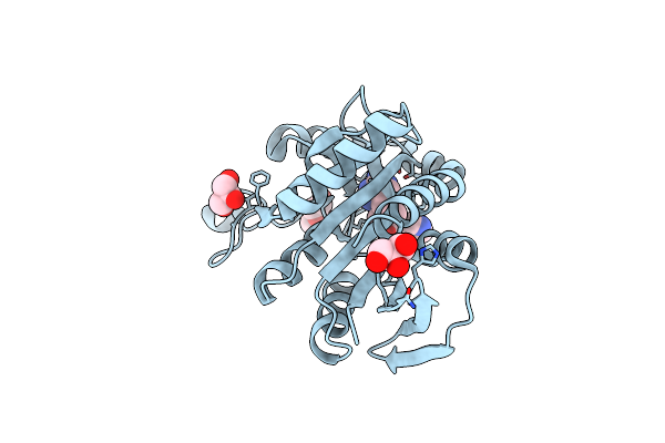 4YNB image