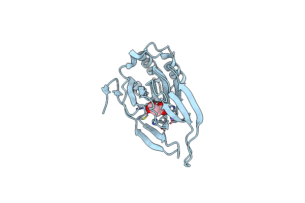 4YNI image