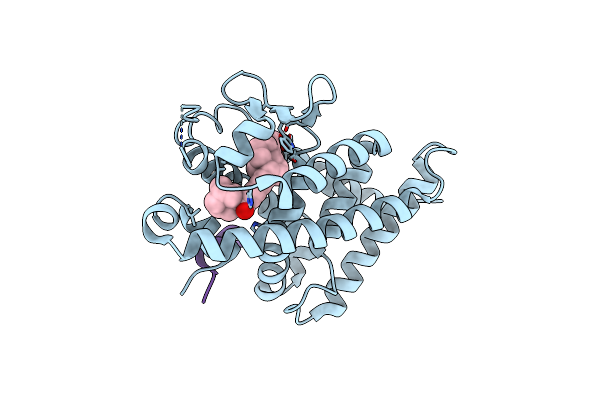 4YNK image