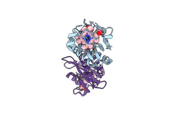 4YNR image