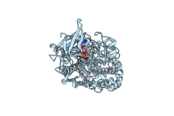 4YNT image