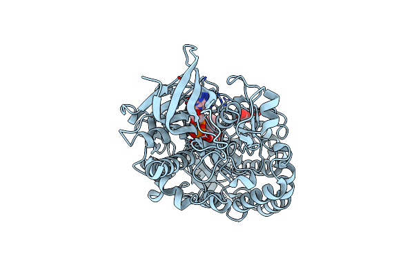 4YNU image