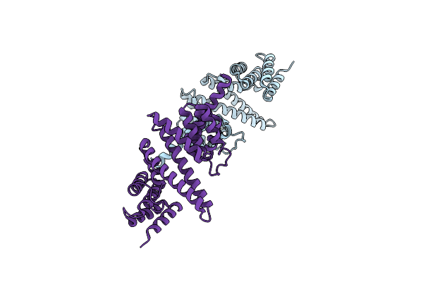 4YNV image