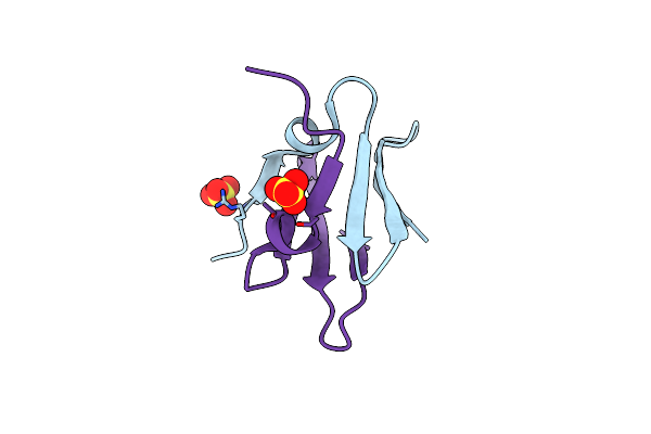 4YNX image
