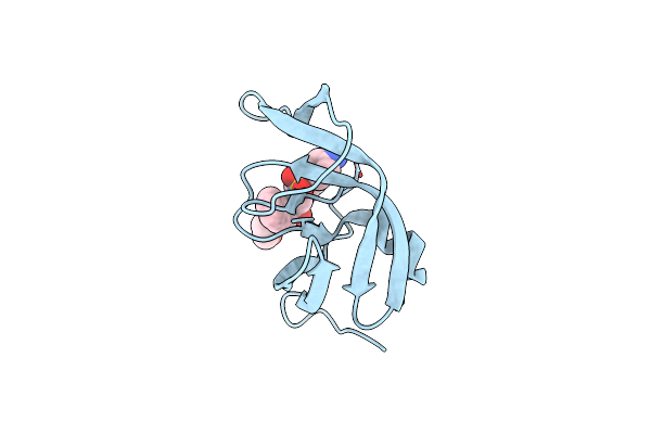 4YOA image