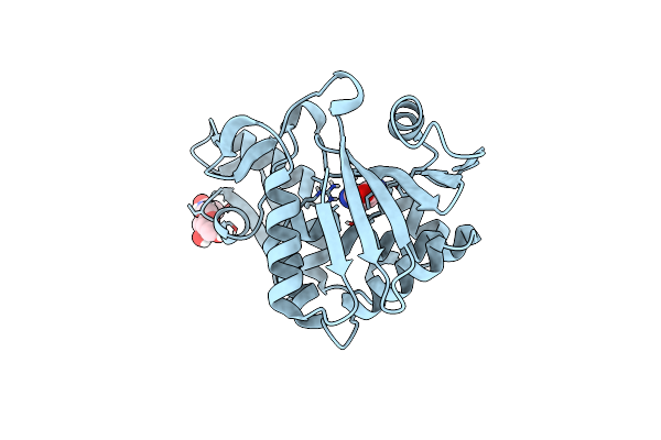 4YP2 image