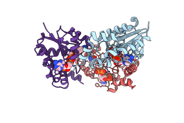 4YP5 image