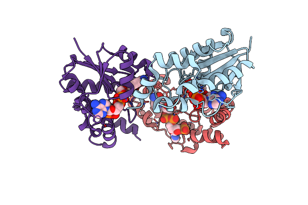 4YP6 image