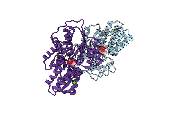 4YP9 image