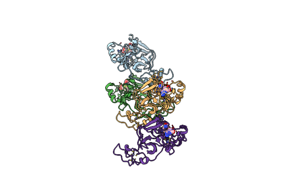 4YPA image