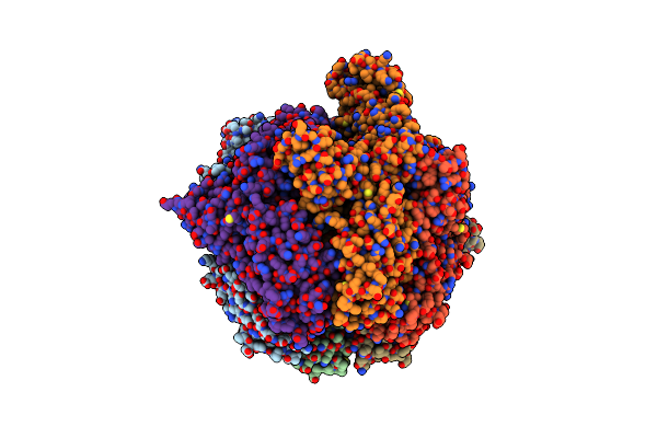 4YPL image