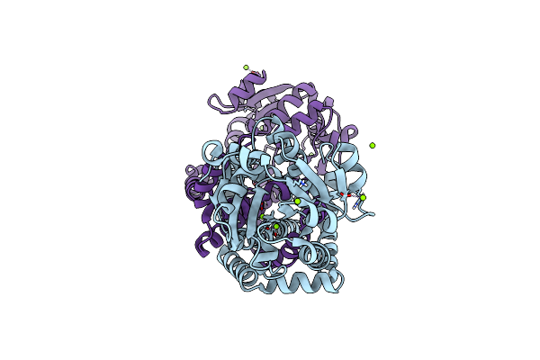4YPO image