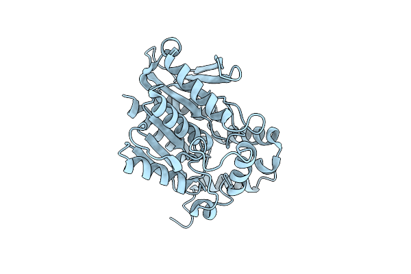 4YPV image