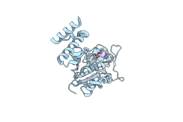 4YPX image