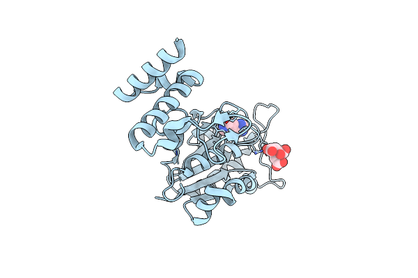 4YPY image