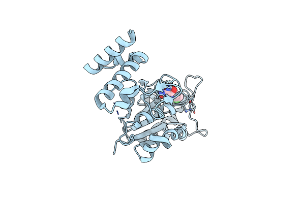 4YQ0 image
