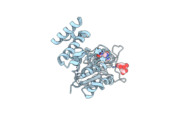 4YQ4 image