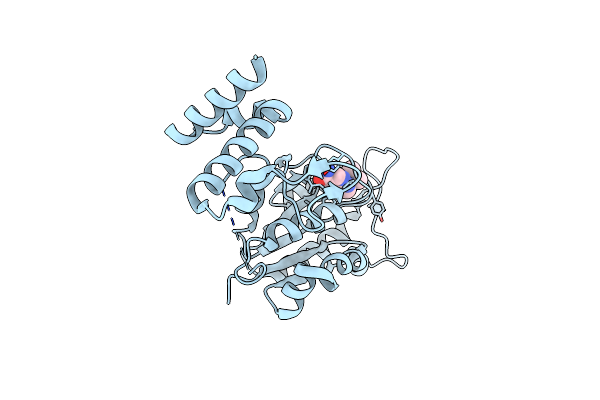4YQ7 image