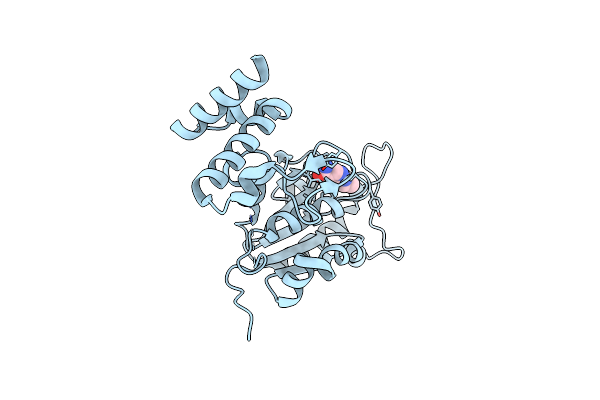 4YQ9 image