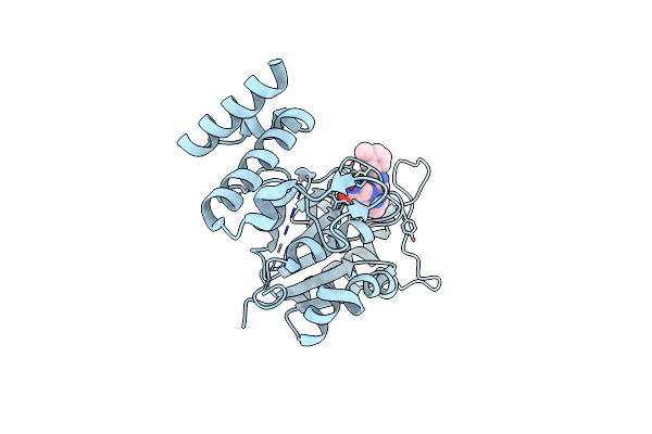 4YQD image