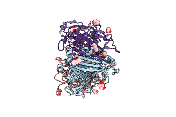 4YSE image