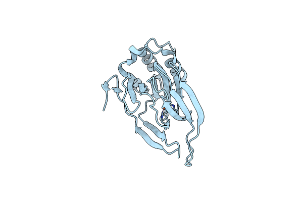 4YSF image
