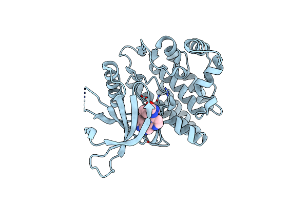 4YTI image