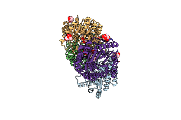 4YTR image