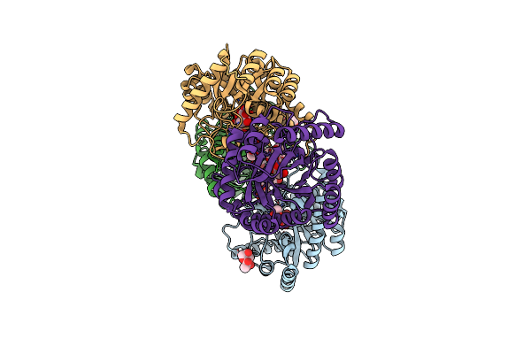 4YTS image