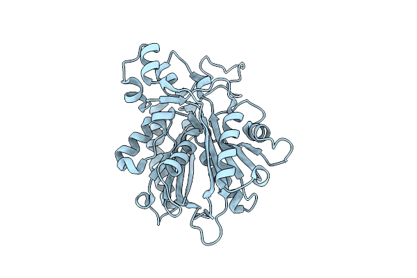 4YUF image