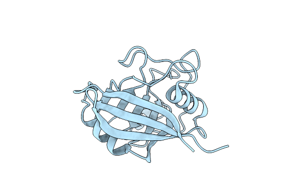 4YUG image