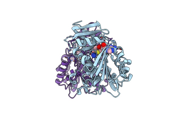 4YUV image