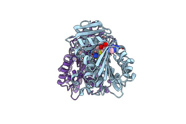 4YUX image