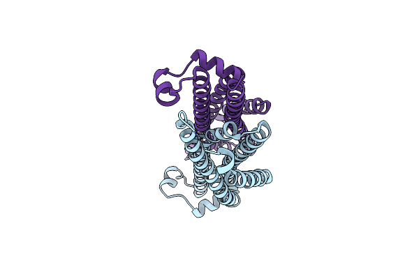 4YVM image