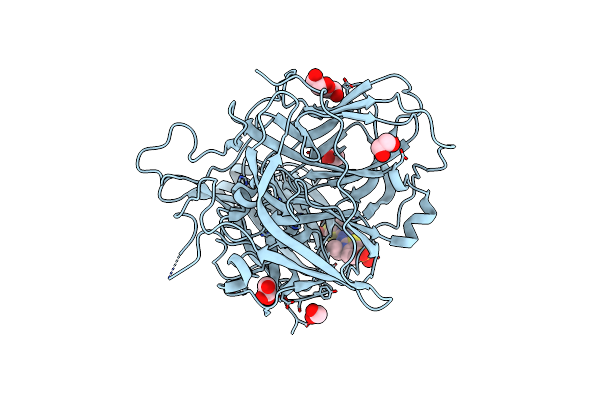 4YVN image