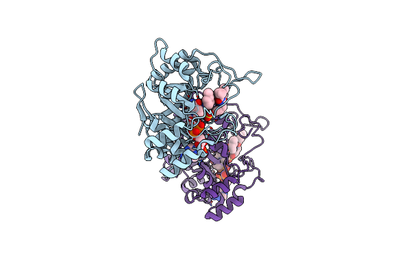 4YVX image