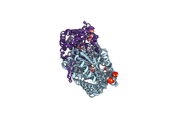 4YWV image