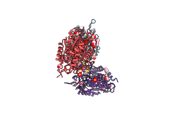 4YWY image