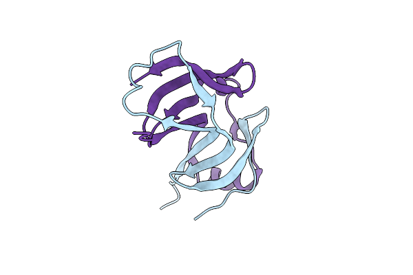 4YX5 image