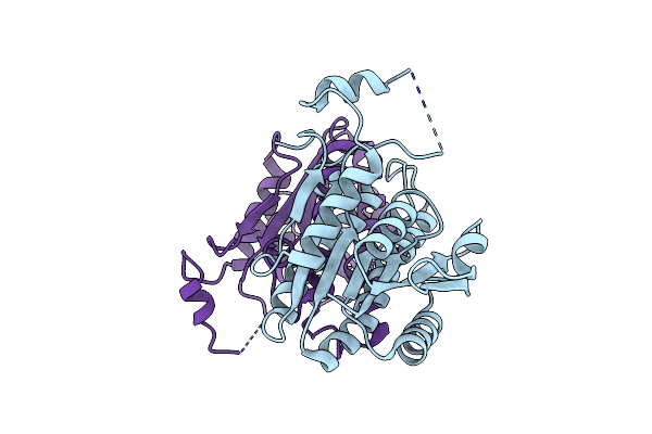 4YXF image