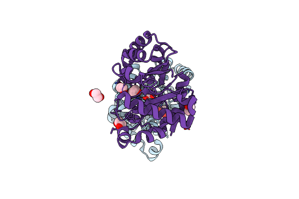 4YXG image