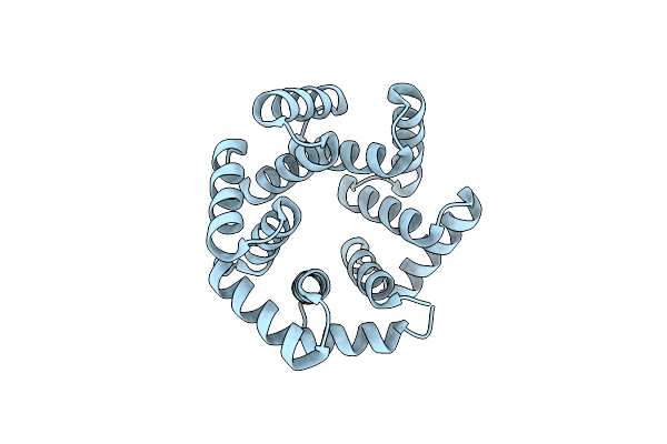 4YXX image
