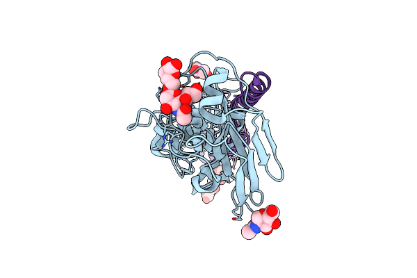 4YYB image